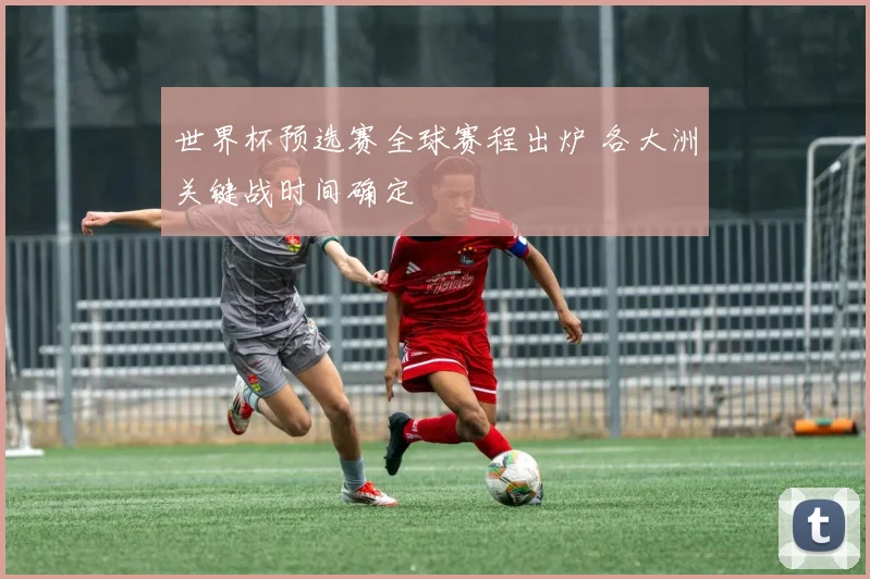 世界杯预选赛全球赛程出炉 各大洲关键战时间确定