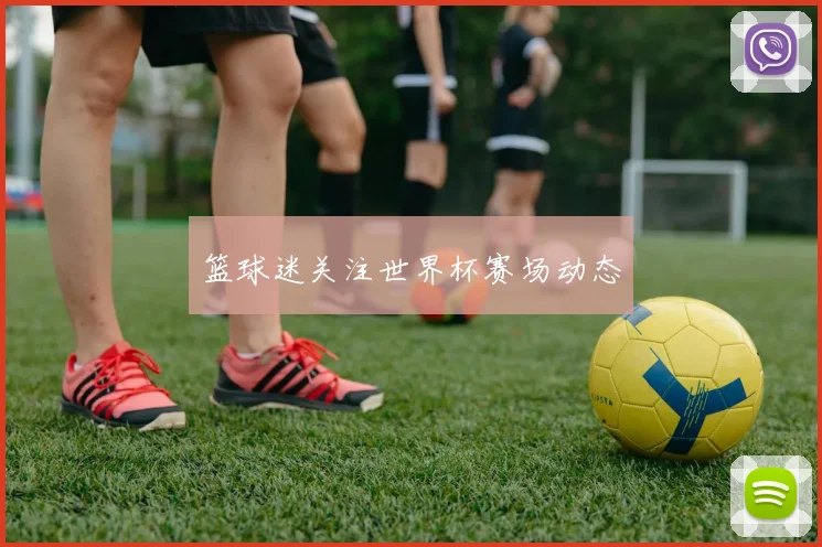 篮球迷关注世界杯赛场动态