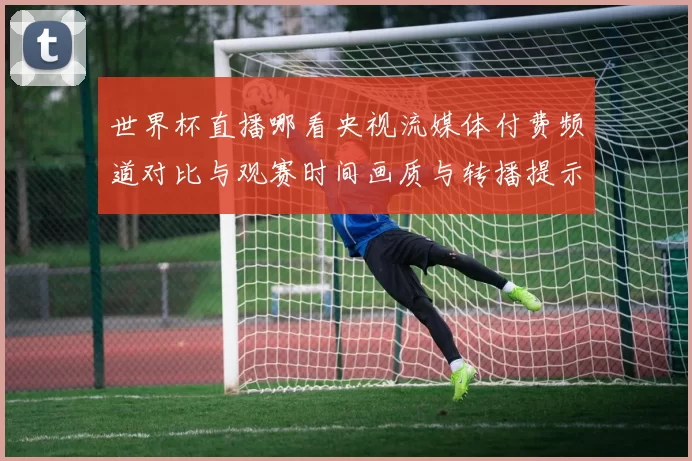 世界杯直播哪看央视流媒体付费频道对比与观赛时间画质与转播提示