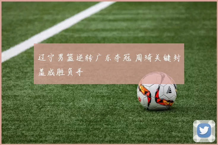 辽宁男篮逆转广东夺冠 周琦关键封盖成胜负手