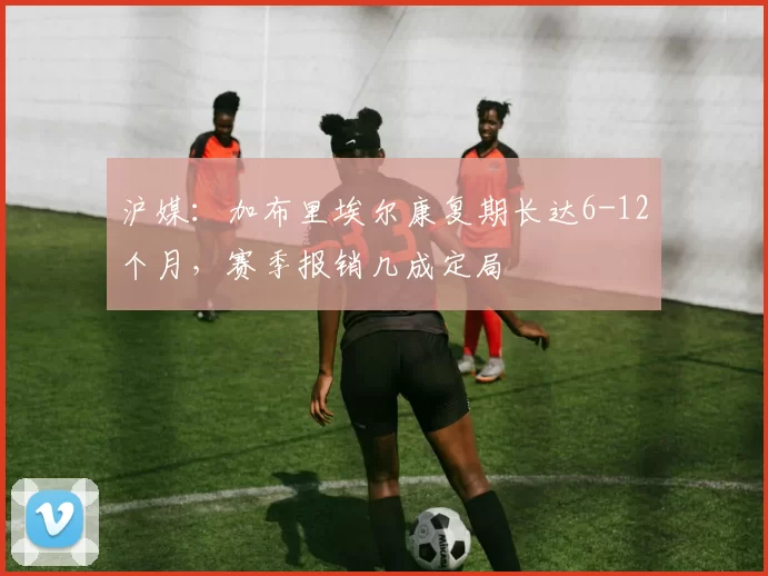 沪媒:加布里埃尔康复期长达6-12个月,赛季报销几成定局