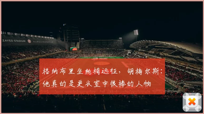 格纳布里坐轮椅远征，胡梅尔斯：他真的是更衣室中很棒的人物